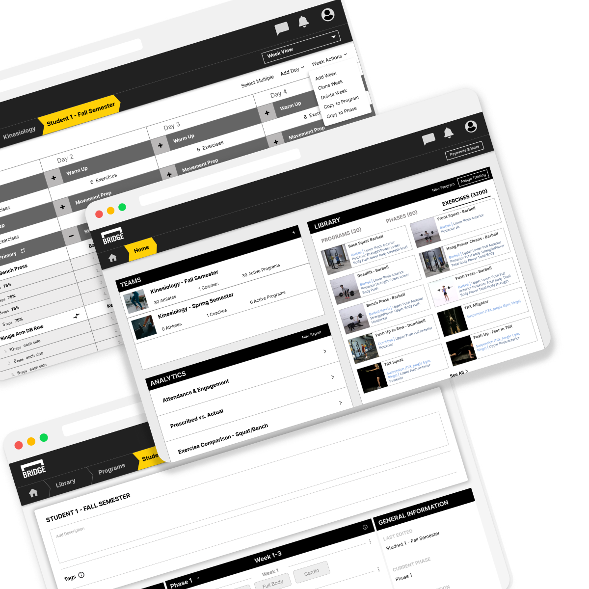 Washburn University Kinesiology Case Study